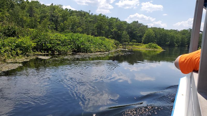 Glass-Bottom Boat Tours on Perfectly Clear Water