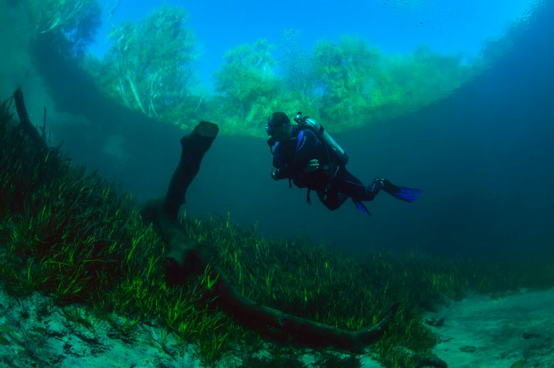 Underwater Photography Made Easy