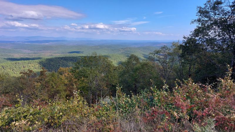 Camping and Picnicking With Mountain Backdrops