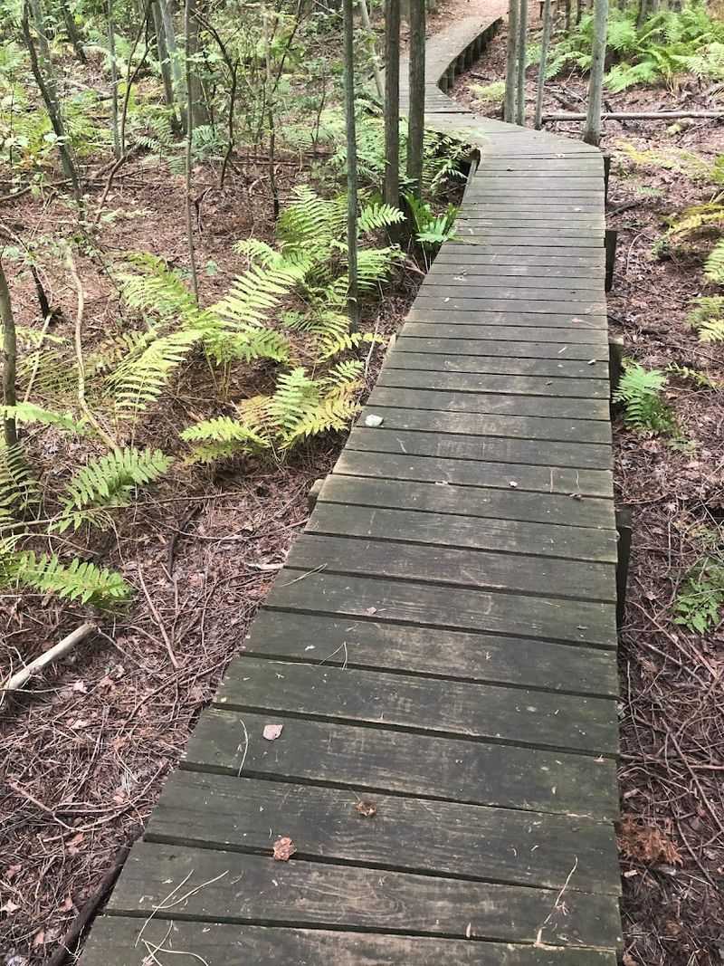 Trails and Walking Routes Worth Knowing