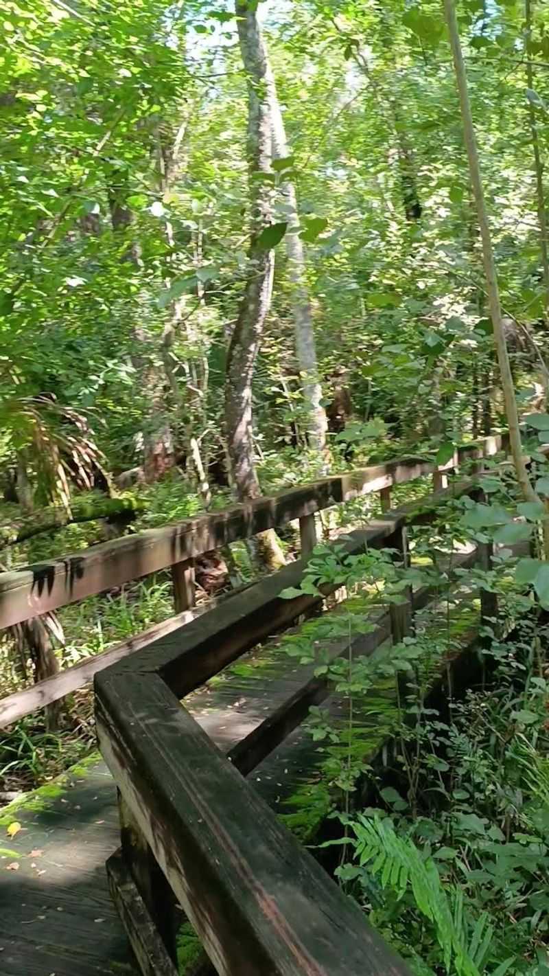 The 2.4-Mile Loop Trail Breakdown