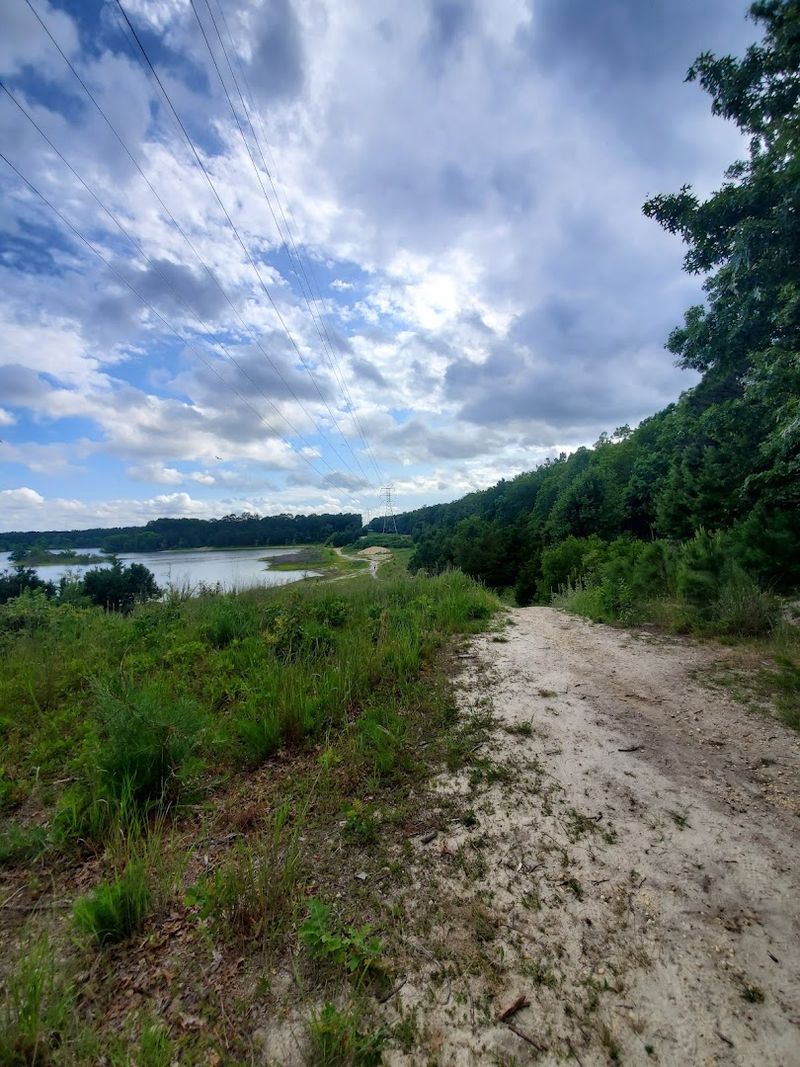 What Makes the Terrain So Interesting