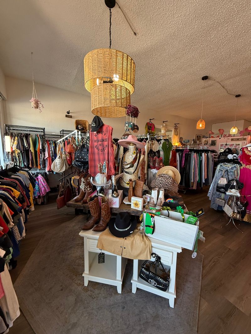 Sunshine Eco-Finds Resale Boutique – Tarpon Springs, FL