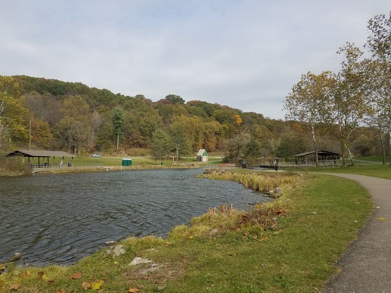 A Quick Fitness Picnic