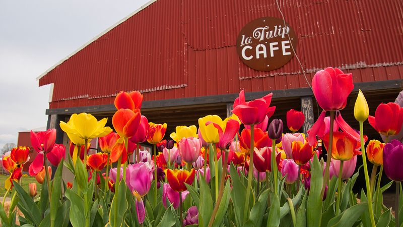 Food Options Keep the Energy Up During Long Visits