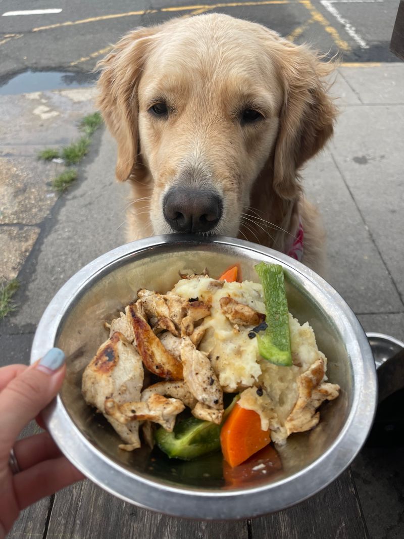 Kim Marie's Eat n Drink Away (Asbury Park) - Yes, your dog can order too