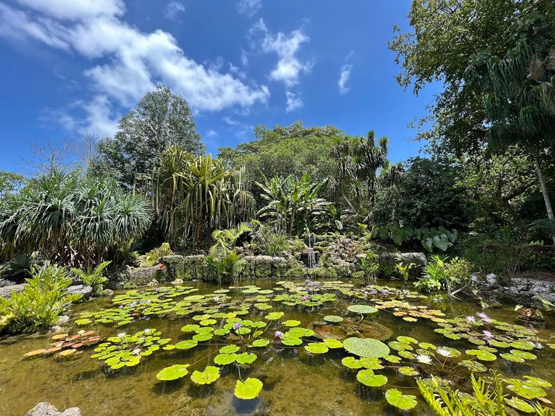 Fairchild Tropical Botanic Garden's Rainforest — Coral Gables, Florida