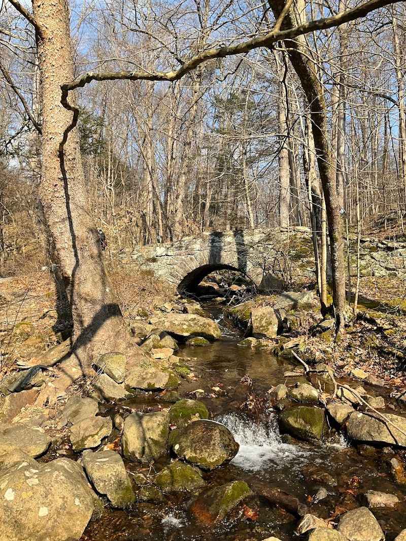 Ken Lockwood Gorge Wildlife Management Area (South Branch Raritan River)