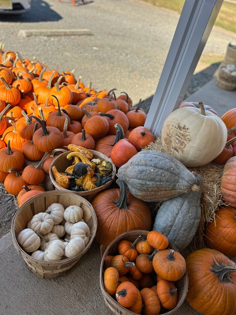 Why this market keeps me coming back