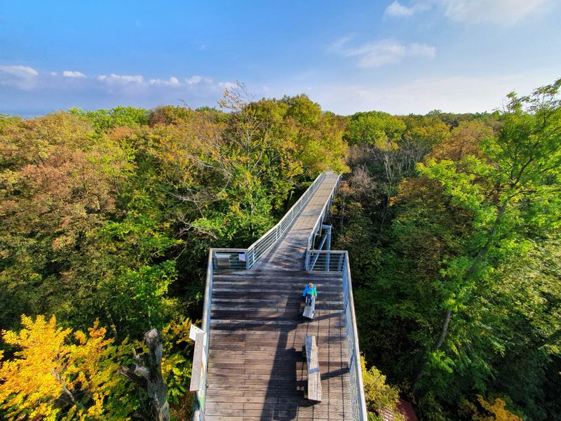Hainich National Park — Primeval Forest Trekking