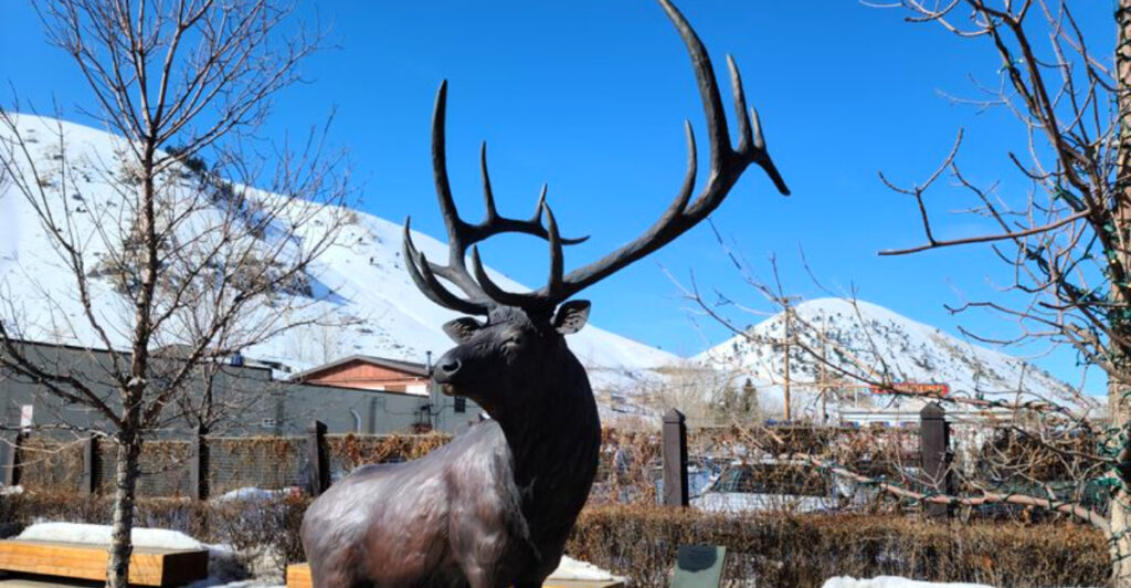 Wyoming’s Gateway to Yellowstone and Grand Teton National Parks Is Surging in Popularity