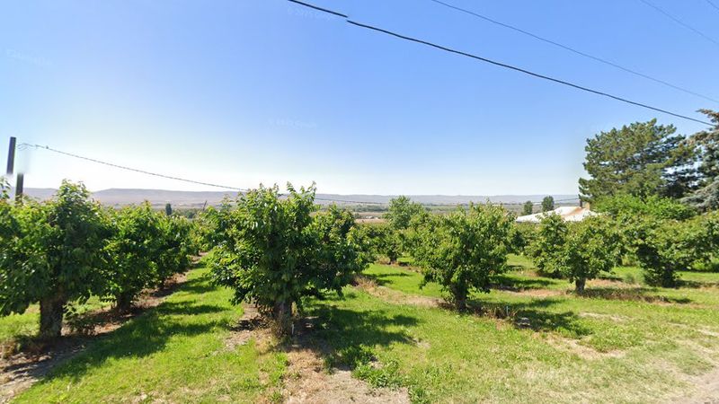 Olmstead Orchards - Grandview, WA