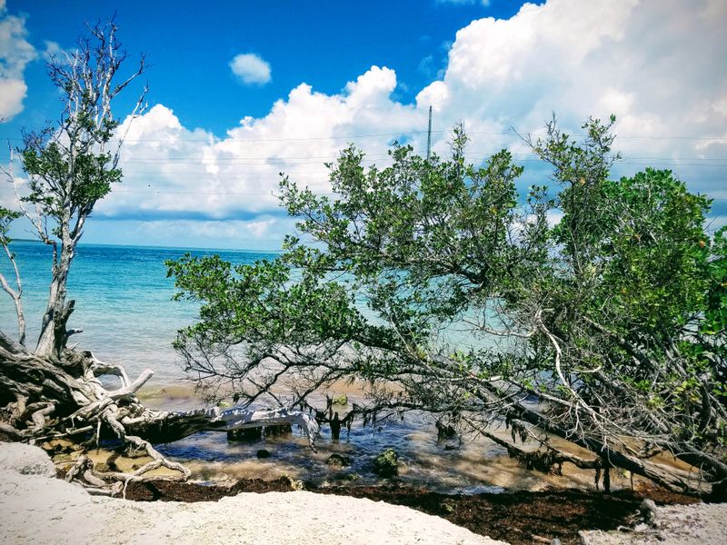 The Park Is Actively Changing Due to Sea-Level Rise
