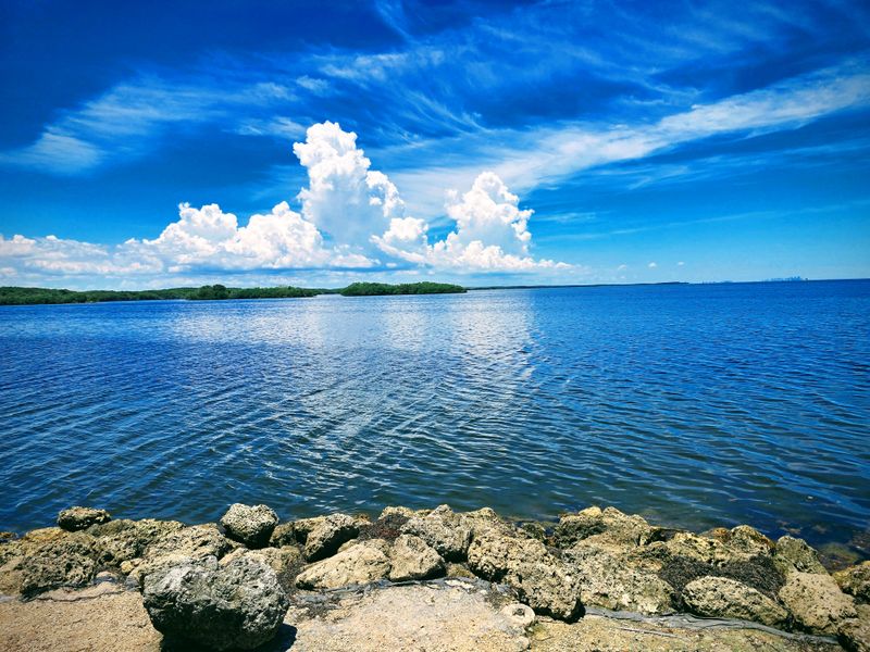 It’s One of the Least-Visited National Parks in Florida (And That’s Wild)