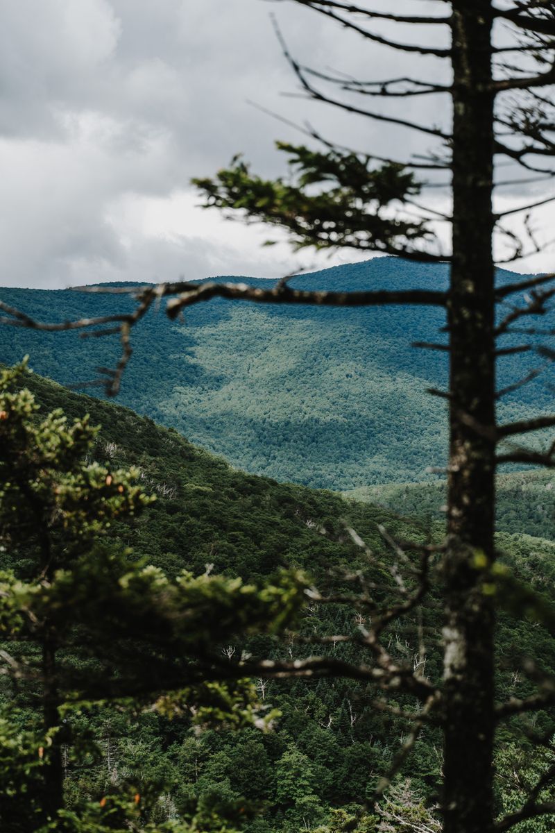 Appalachia Is Not “Forgotten” by the People Who Live There