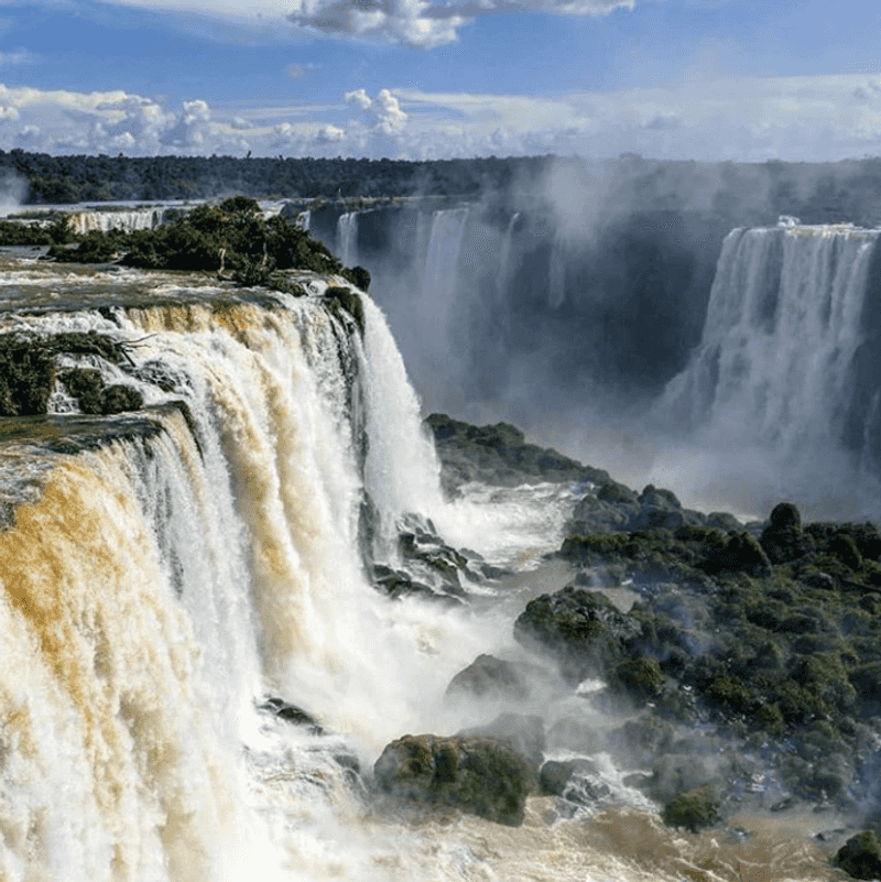 Iguazú National Park Rainforest — Argentina/Brazil