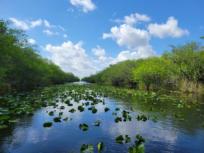 Everglades National Park — Unique Wetland Views