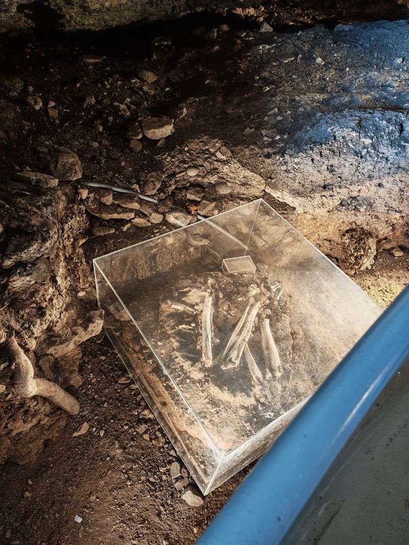 Excavations were long-running and led by a key specialist