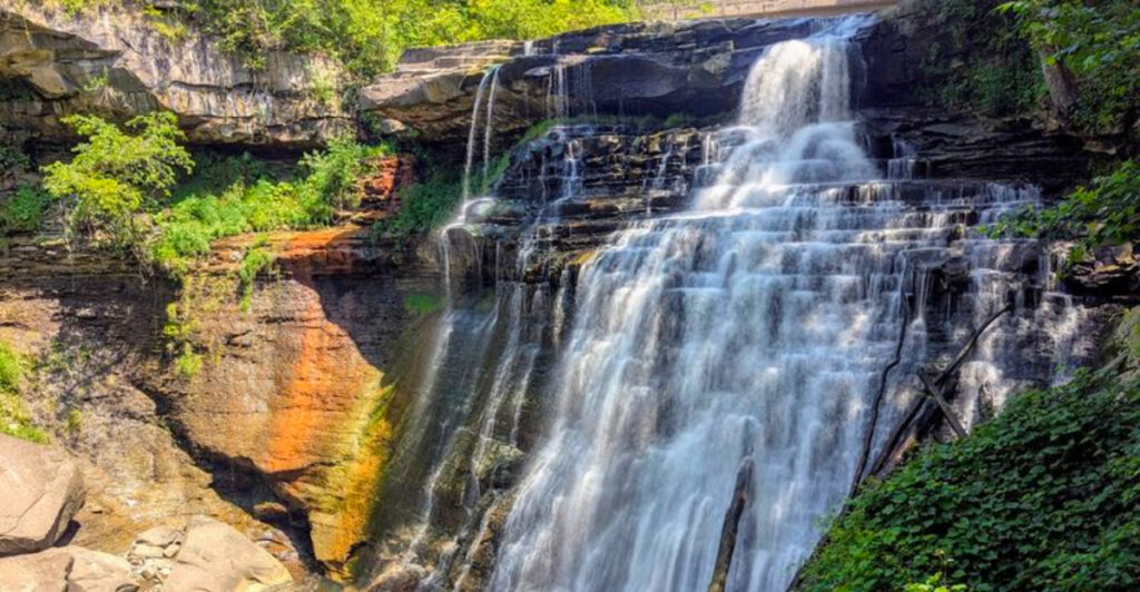 10 Most Dog-Friendly National Parks in the U.S. You Can Explore Together
