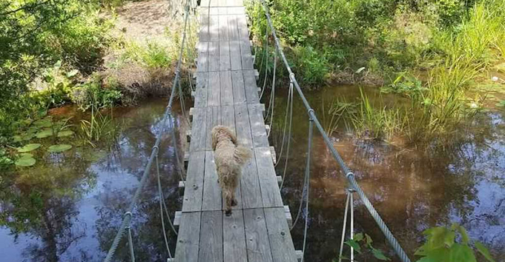 10 Peaceful New Jersey Trails That Lead to Secret Secluded Hideaways