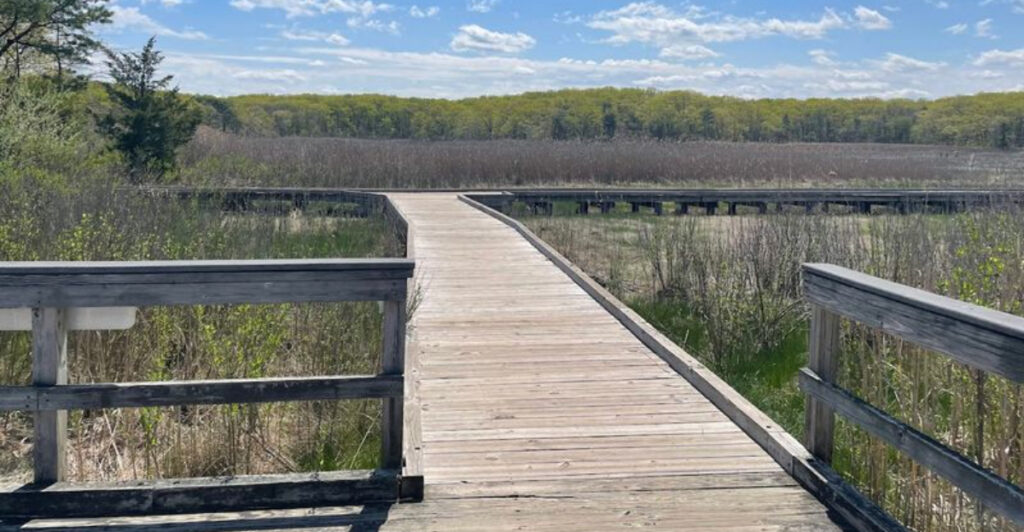 10 Surprisingly Peaceful New Jersey Hiking Trails That Turn a Dog Walk Into a Real Adventure