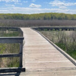 10 Surprisingly Peaceful New Jersey Hiking Trails That Turn a Dog Walk Into a Real Adventure