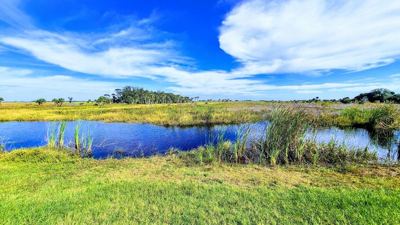 Kissimmee Prairie Preserve State Park