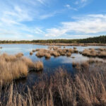 11 New Jersey Almost Hidden Spots Even Lifelong Locals Still Haven’t Found