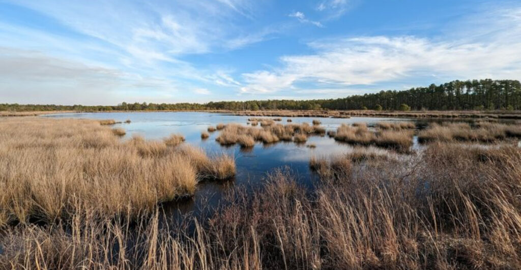 11 New Jersey Almost Hidden Spots Even Lifelong Locals Still Haven’t Found