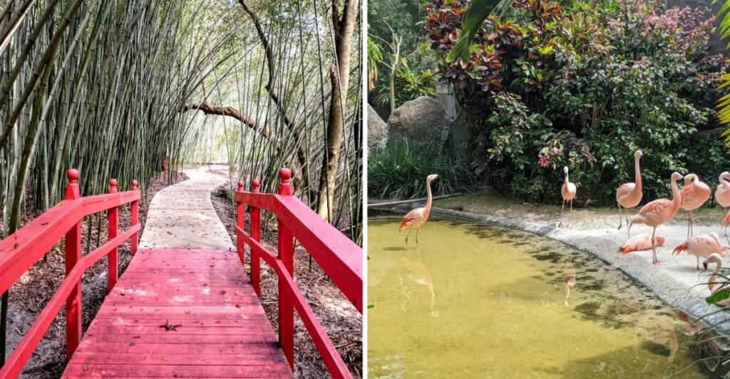 12 Beautiful Botanical Gardens to Visit in Florida