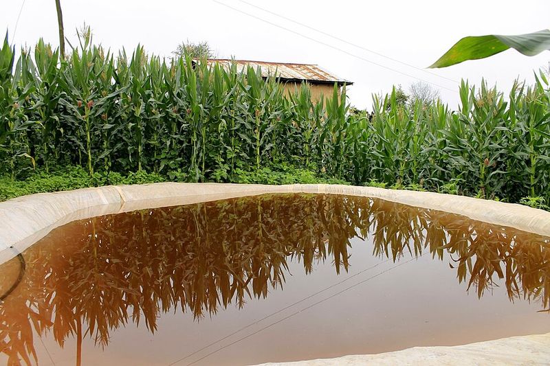 Collecting Rainwater in Some Places