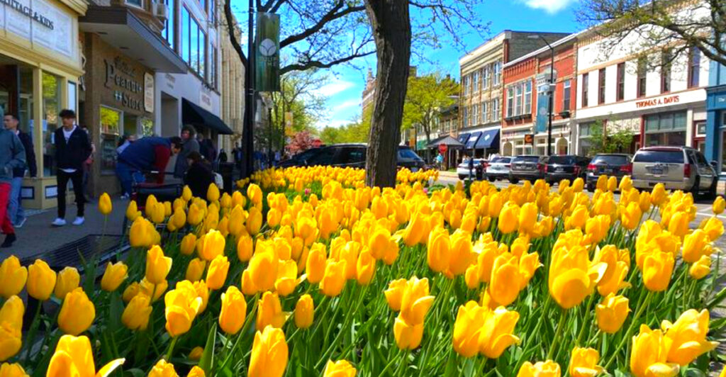 12 Michigan Towns With Picture-Perfect Downtowns