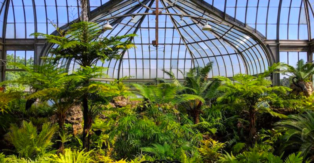 13 Acres of Victorian Glasshouse Jungle on a 982-Acre Island Park