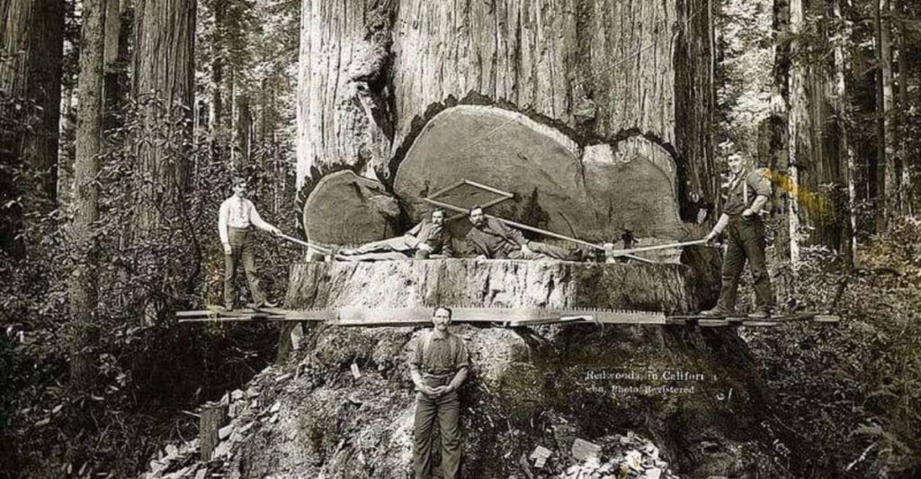 13 Hearty Meals Lumberjacks Ate Back in the Day That Fueled Grueling Days in the Woods