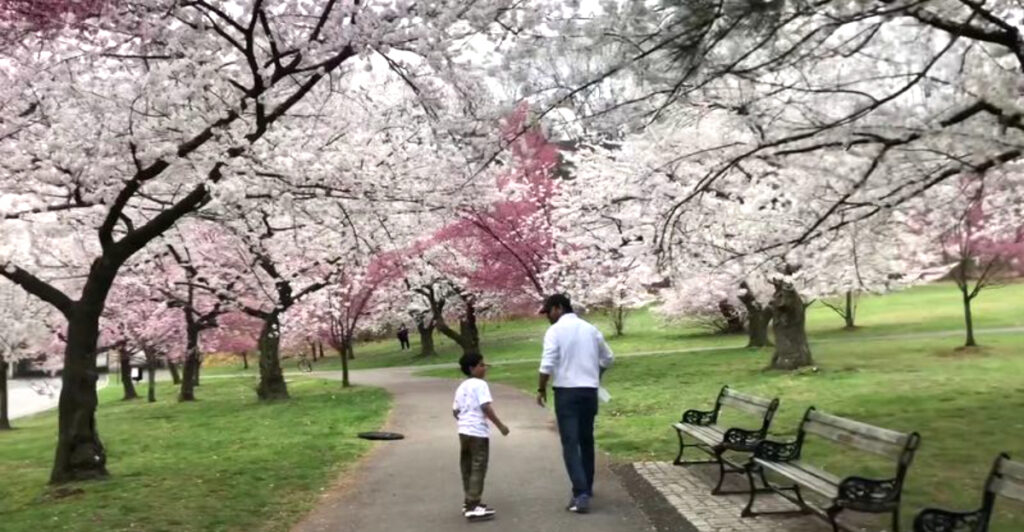 13 New Jersey Spring Festivals and Events Happening in 2026