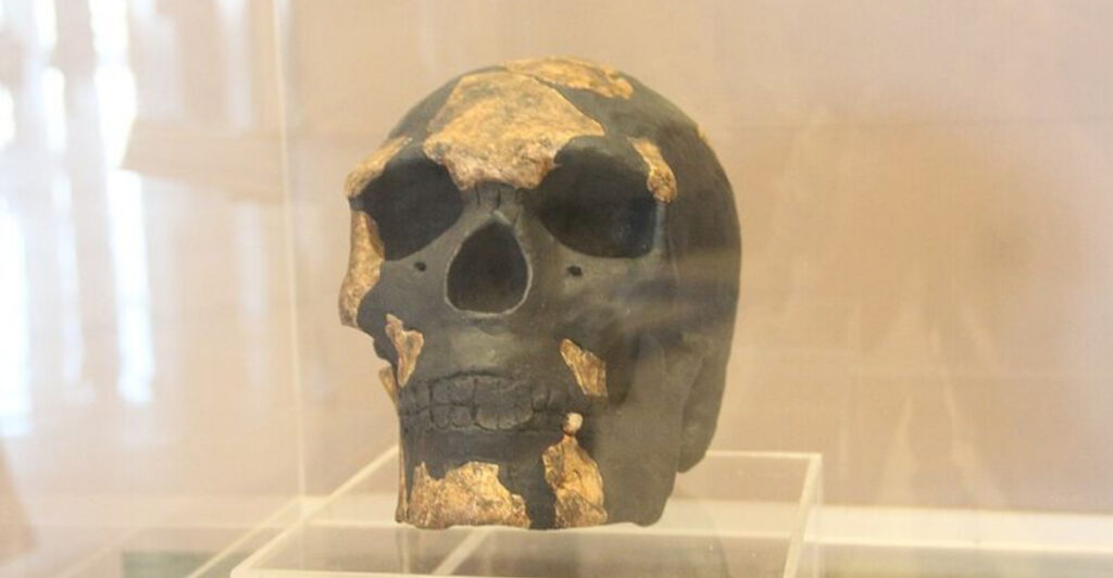 13 Oldest Human Fossils That Completely Rewrote Human History