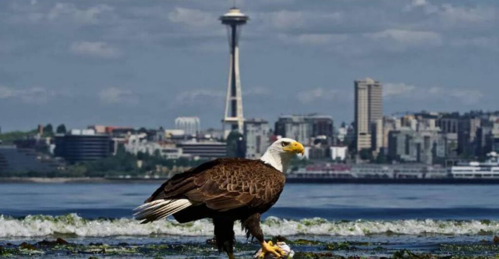 14 US Destinations That Are Great for Spring Weather