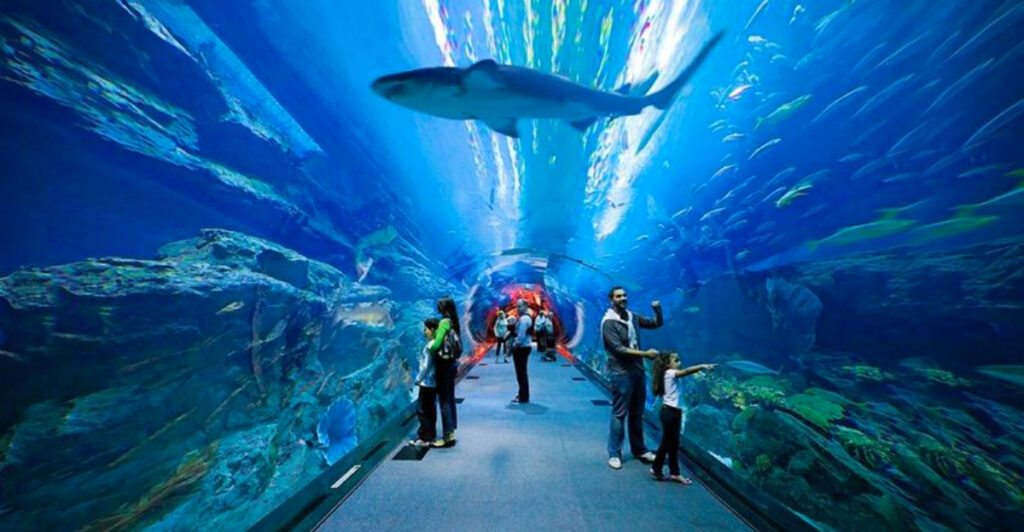 15 Best Aquariums in the World for Rare Marine Life and Spectacular Exhibits