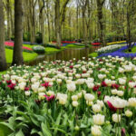 15 Best Places to Visit in Europe in Spring