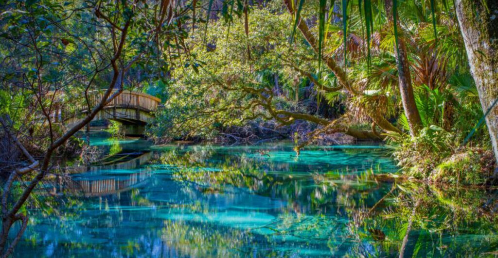 15 Best Things To Do In Ocala, Florida