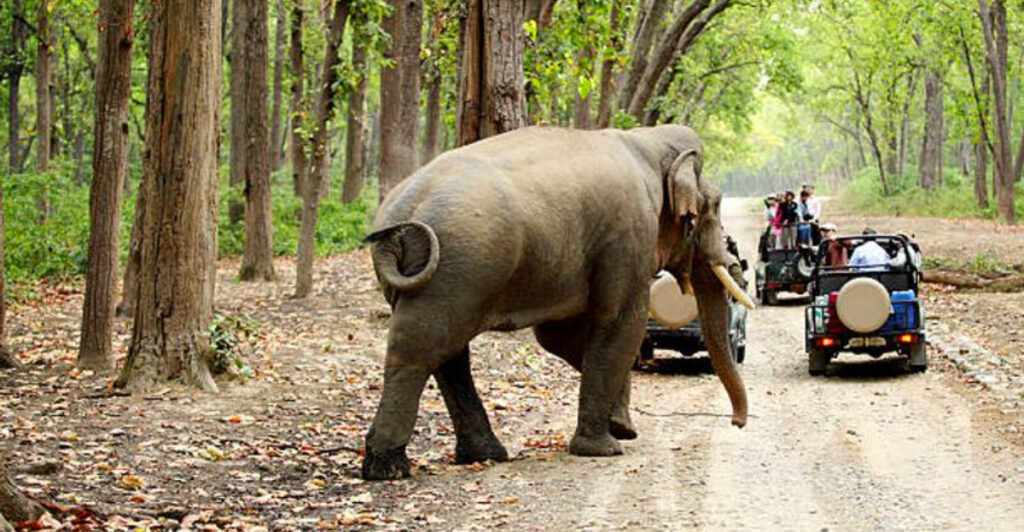 15 Countries With the Most National Parks in the World