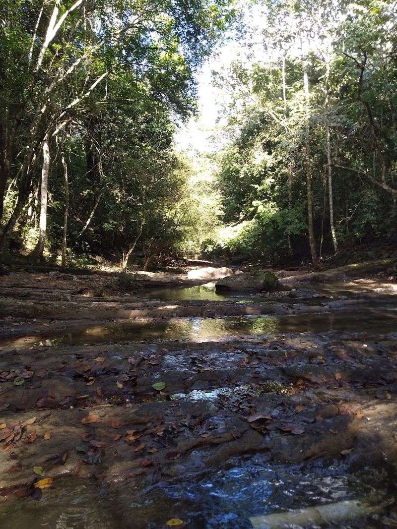Darién Gap — Panama/Colombia