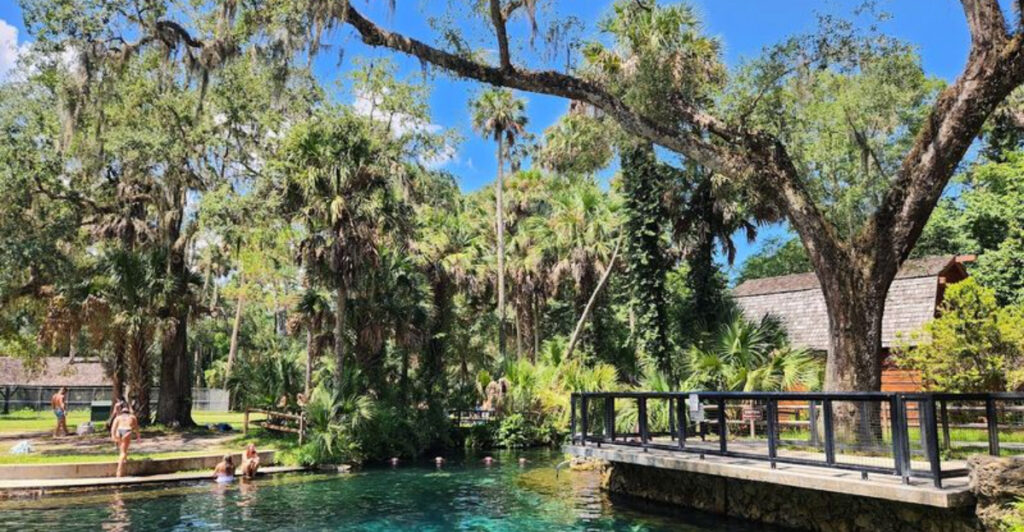 15 Epic Camping Spots in Florida (Beaches, State Parks & More)