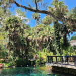 15 Epic Camping Spots in Florida (Beaches, State Parks & More)