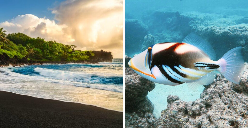 15 Incredible Things to See and Do Across Hawaii