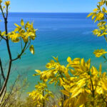 15 Miles of Trails and 1,700 Acres – Without the Sleeping Bear Crowds