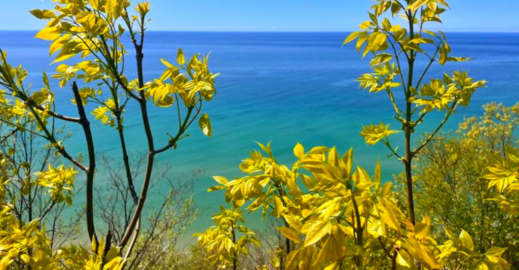 15 Miles of Trails and 1,700 Acres – Without the Sleeping Bear Crowds