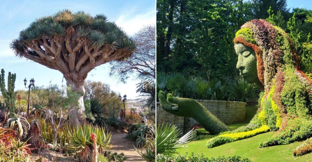 15 US Botanical Gardens That Are Worth a Trip on Their Own