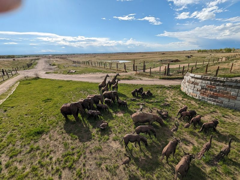 The Wild Animal Sanctuary — Keenesburg, Colorado