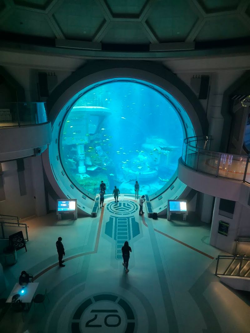 SeaWorld Abu Dhabi, UAE